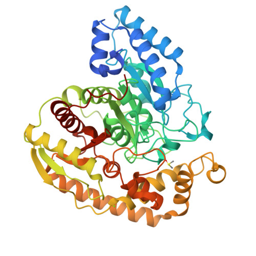 Structure 30ZP