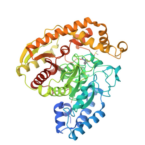 Structure 30ZR