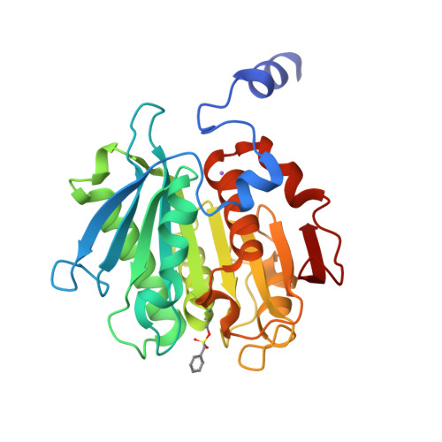 Structure 30ZT
