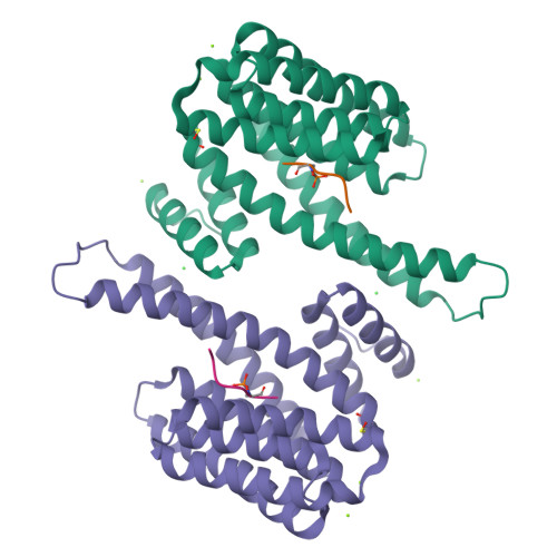 Structure 30ZW