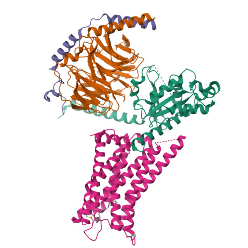 Structure 31BG