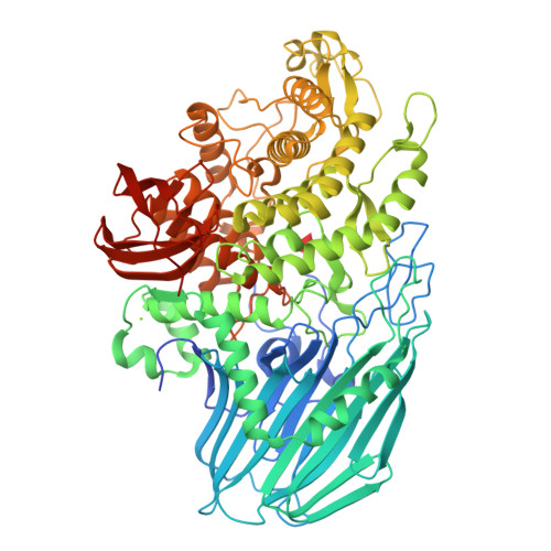 Structure 31BO