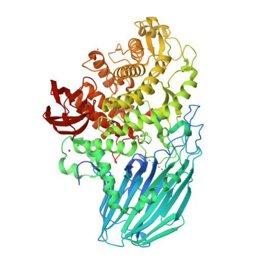 Structure 31BP