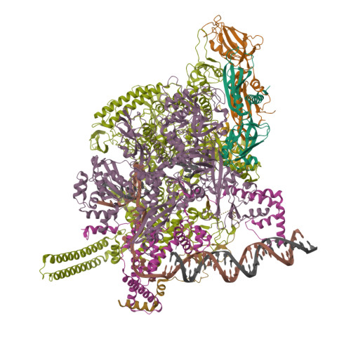 Structure 31EF
