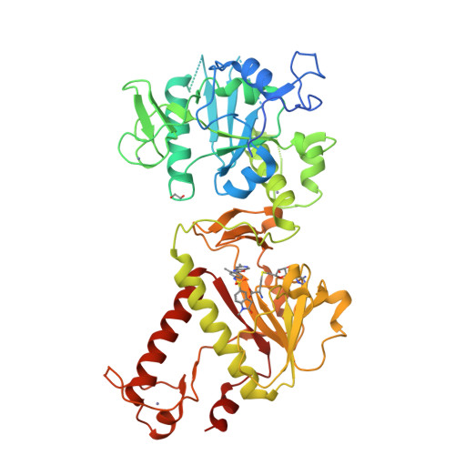 Structure 31EL