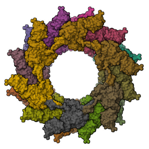 Structure 31EU