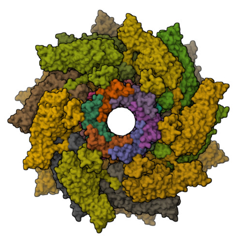 Structure 31EV