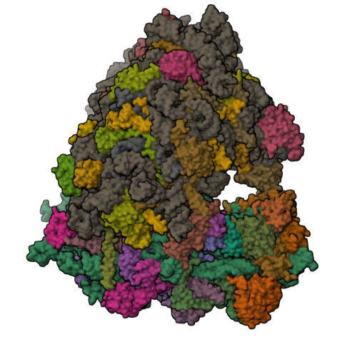 Structure 31FY