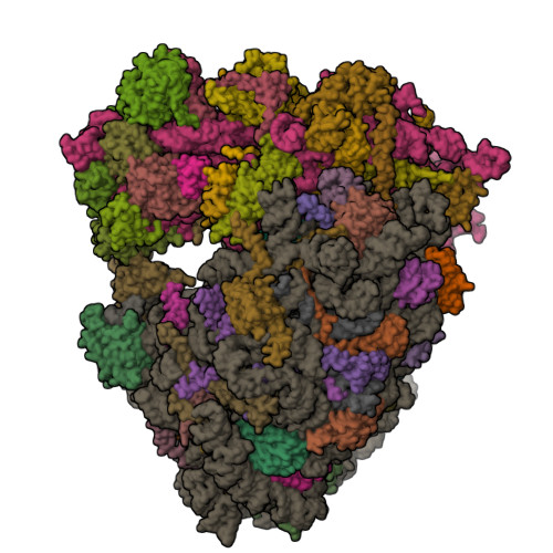 Structure 31FZ