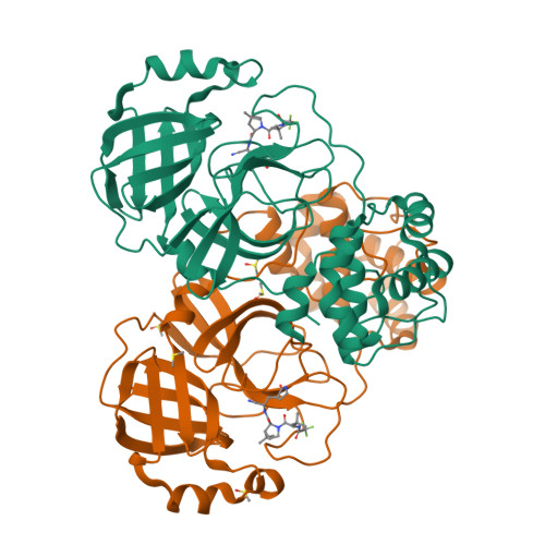 Structure 31GJ