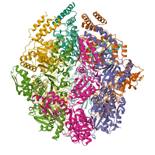 Structure 31IB