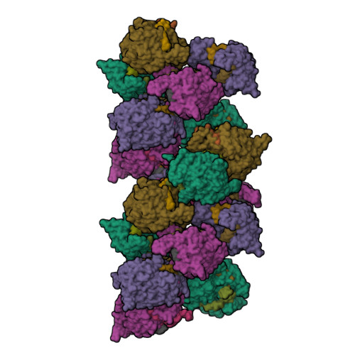 Structure 31JO