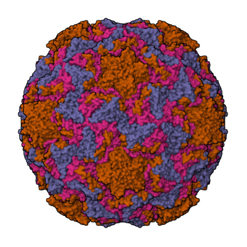 Structure 31LE