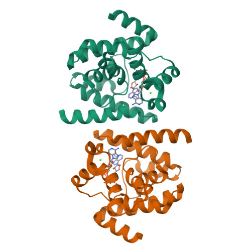 Structure 31LR