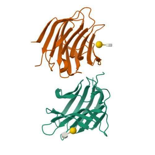 Structure 31OF