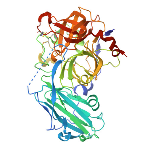 Structure 31RM