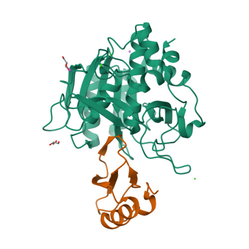 Structure 31VI