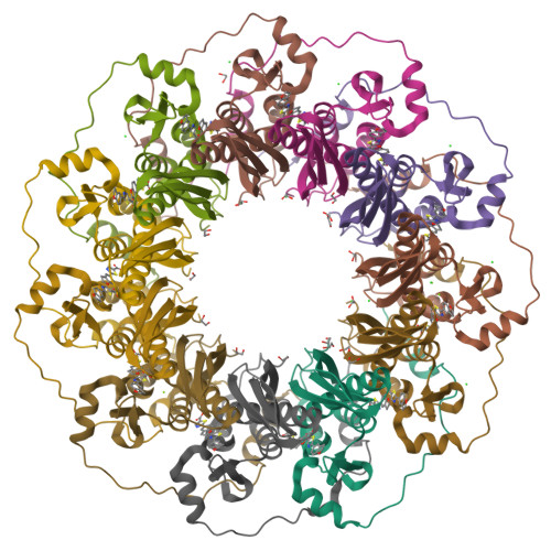 Structure 31XQ