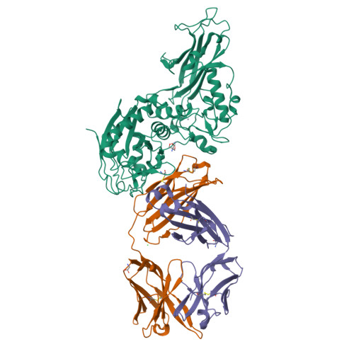 Structure 31YN