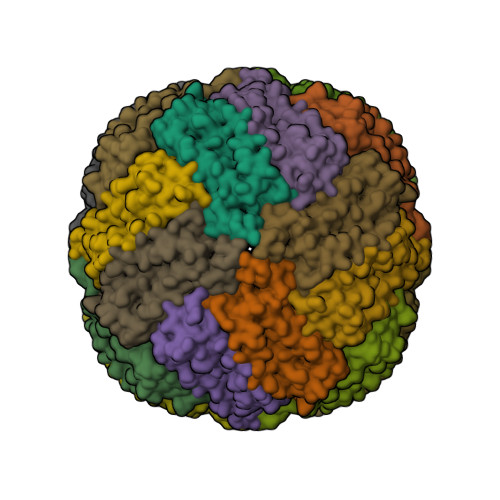 Structure 31YP
