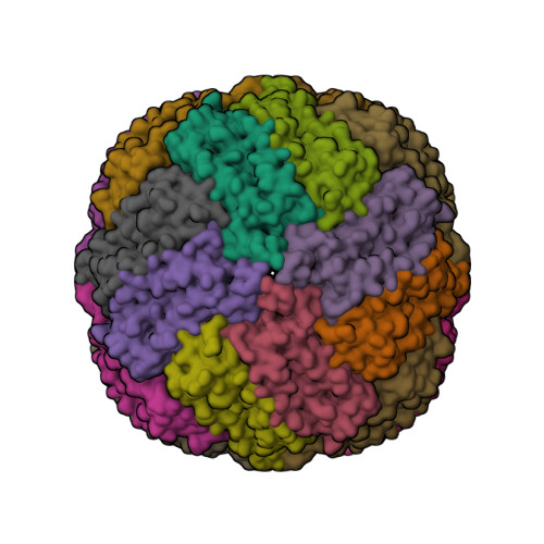 Structure 31YR