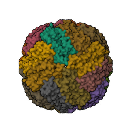 Structure 31YY