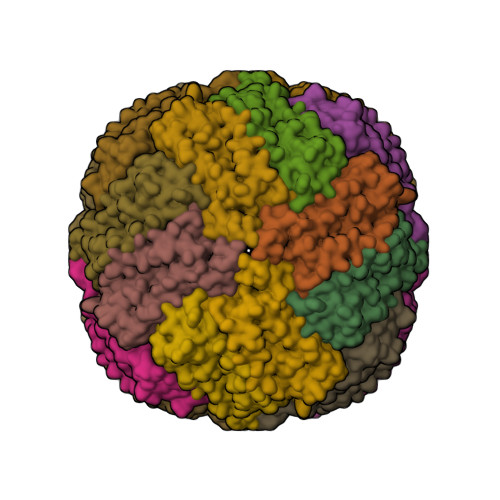 Structure 31ZD