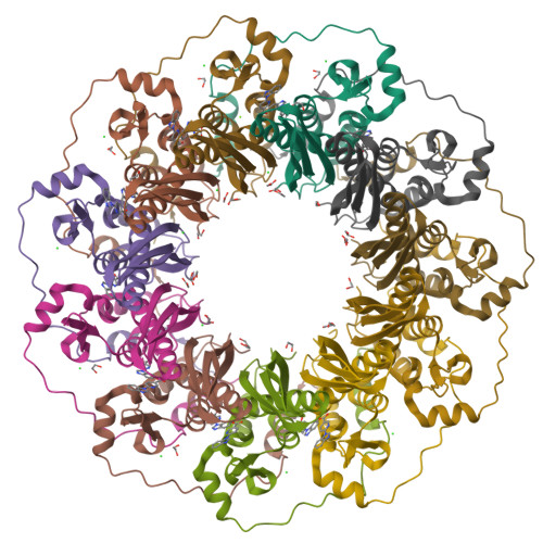 Structure 31ZI