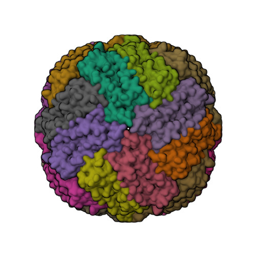 Structure 32CW