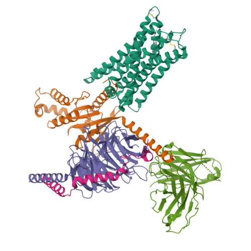 Structure 32FD