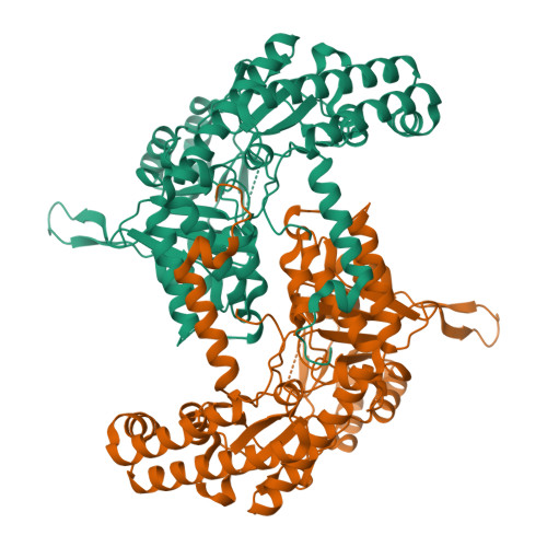 Structure 32JN