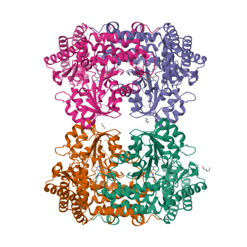 Structure 32JY