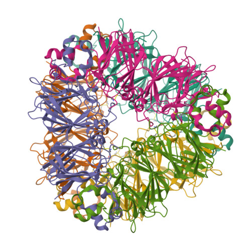 Structure 32LJ