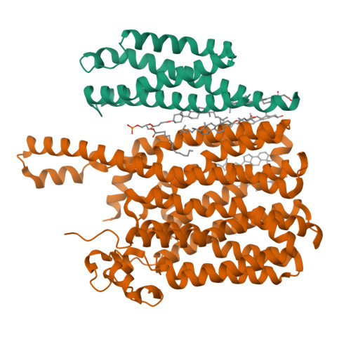 Structure 32PZ