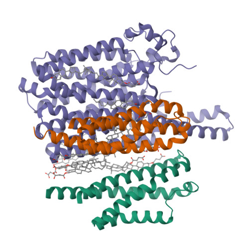 Structure 32QA