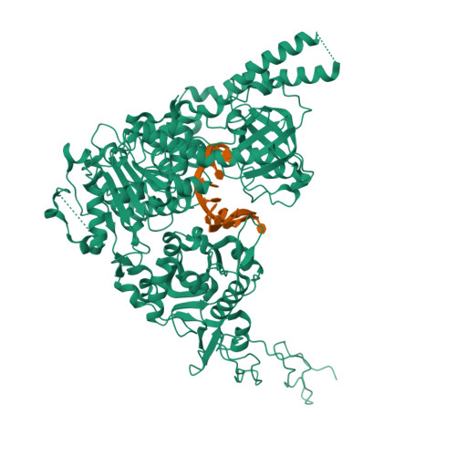 Structure 32UM