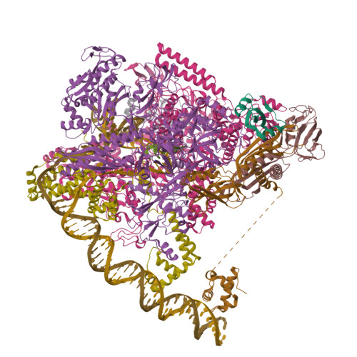 Structure 32ZR