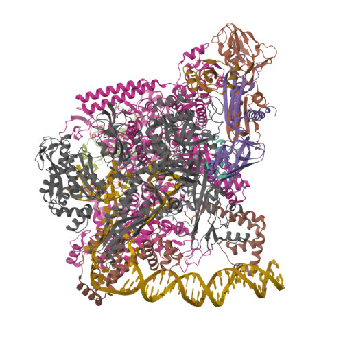 Structure 32ZS