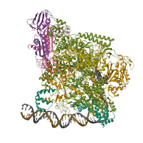 Structure 32ZT