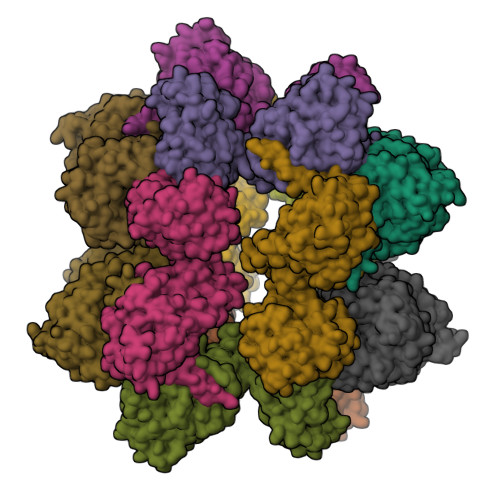 Structure 33AR