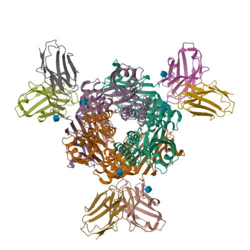 Structure 33SD