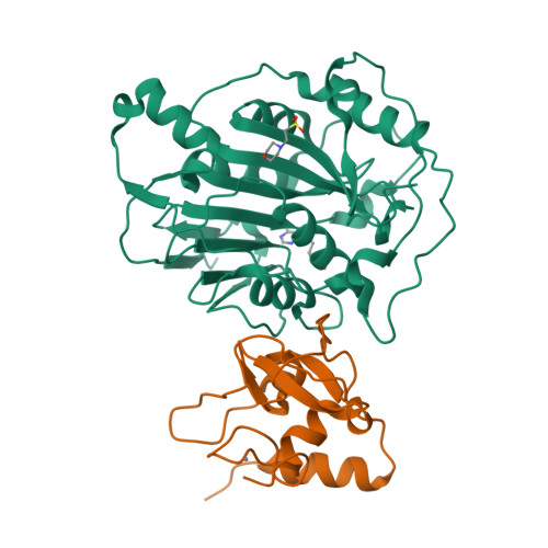 Structure 33YM