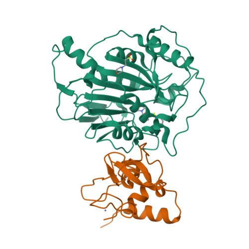 Structure 33YO