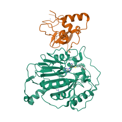 Structure 33YP