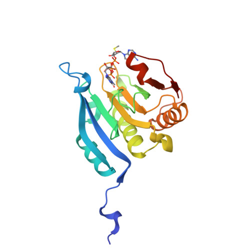 Structure 34CY