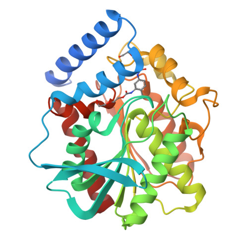 Structure 34XV