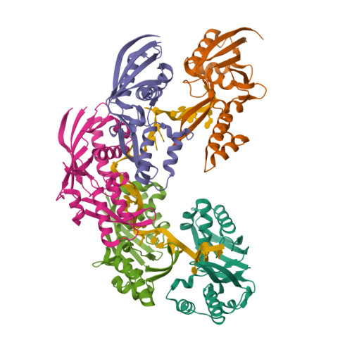 Structure 35SE