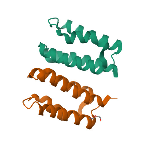 Structure 35SL