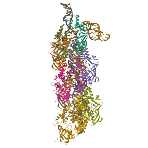 Structure 35TR