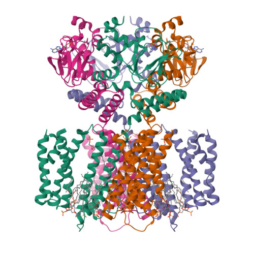 Structure 35VC